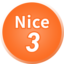 Nice3